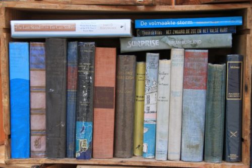 Books Vintage Delft_Tulipando