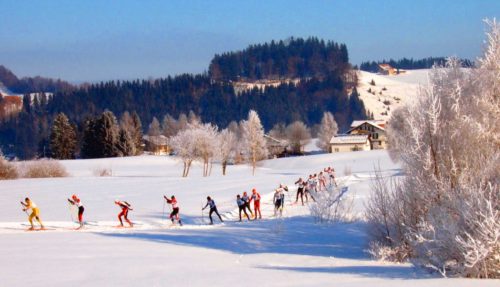 Val di Fassa_sci di fondo_Tulipando