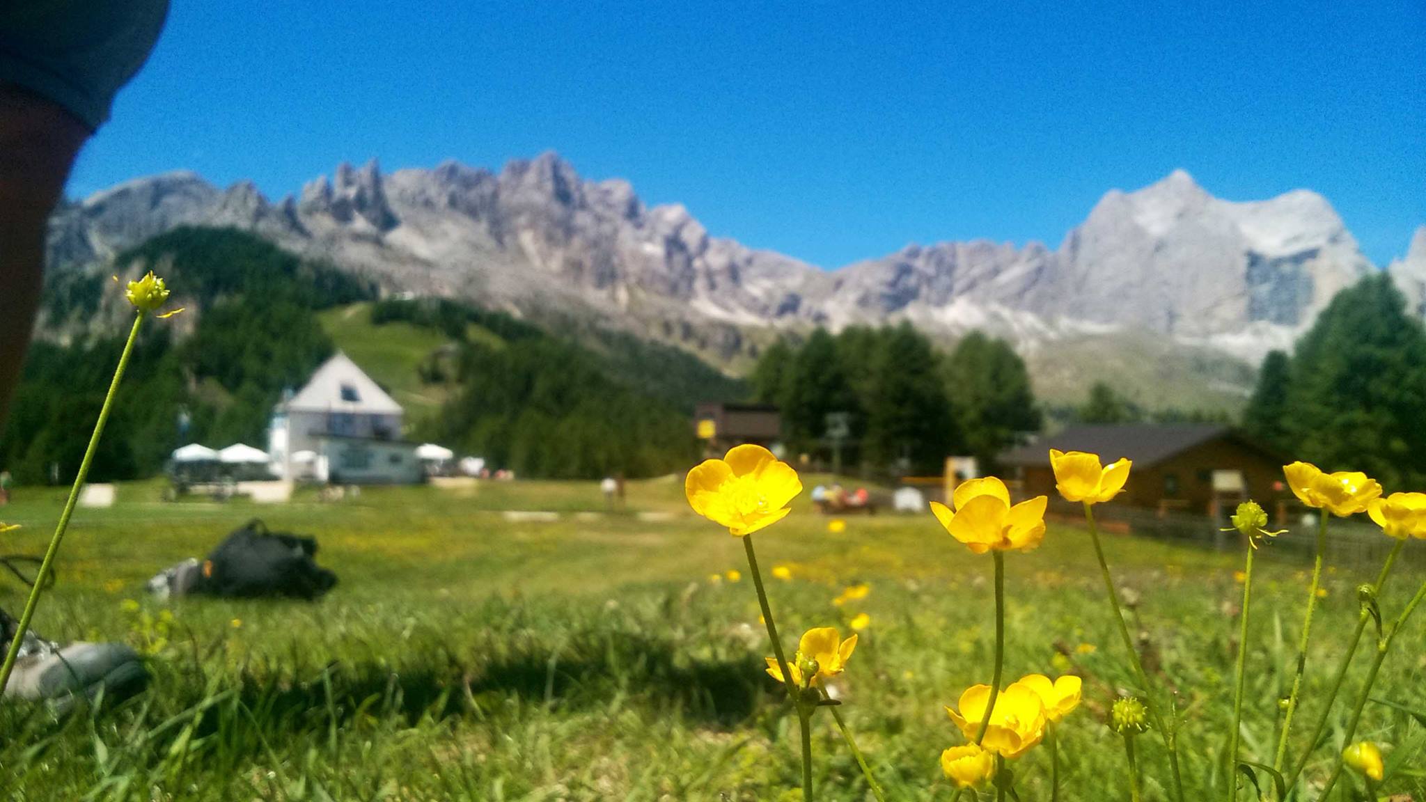 catinaccio altopiano Dolomiti_Tulipando