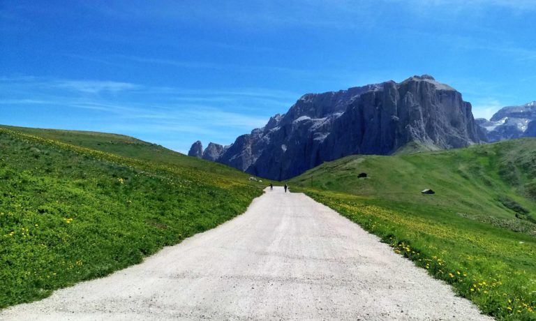 Col Rodella Dolomiti_Tulipando