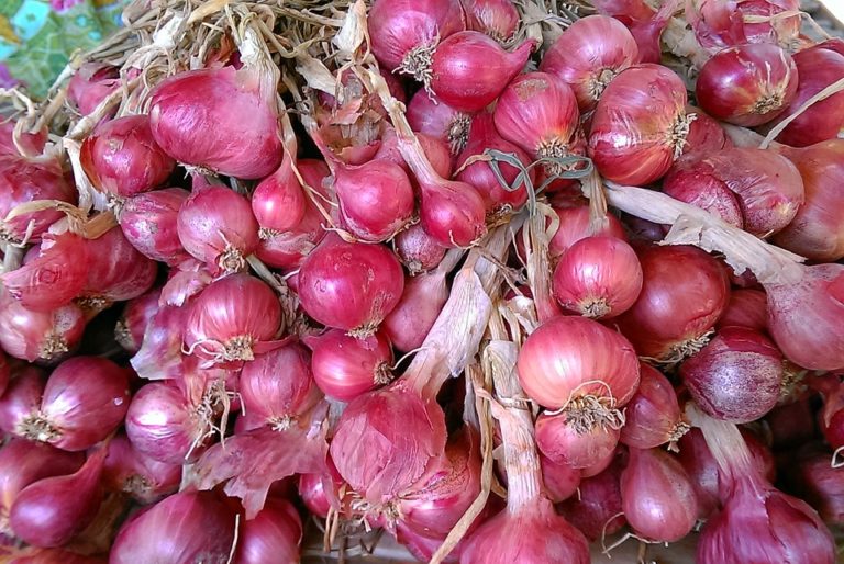 cipolla rossa superfood_Tulipando