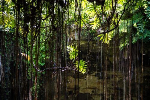 Messico 2017 cenotes_Tulipando