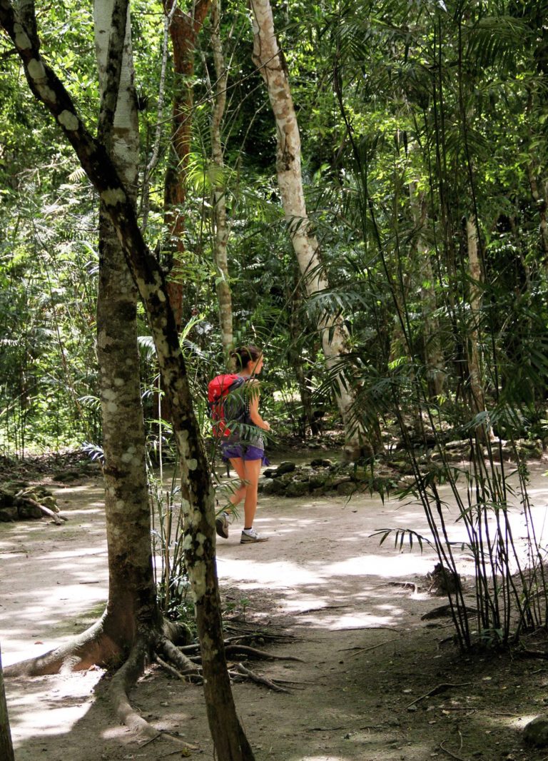 Tulipando nella giungla cenotes