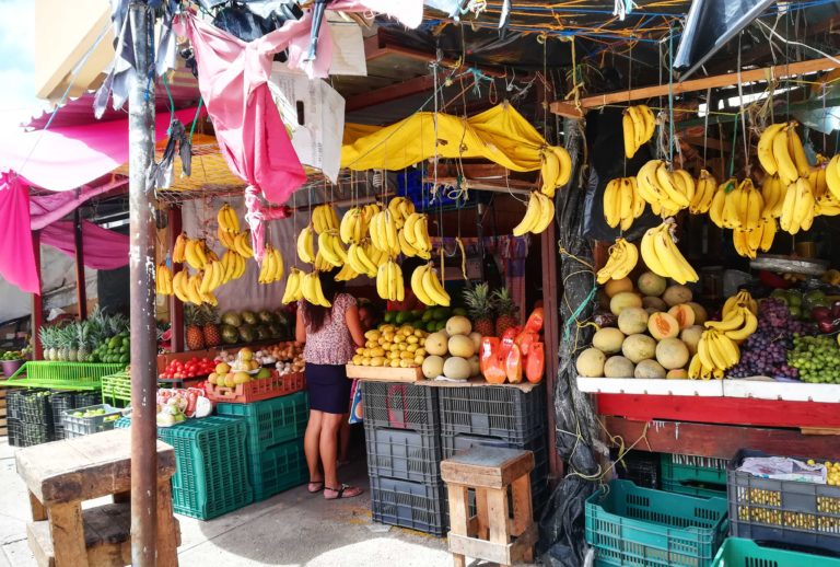 Campeche mercado 2 Yucatan_Tulipando
