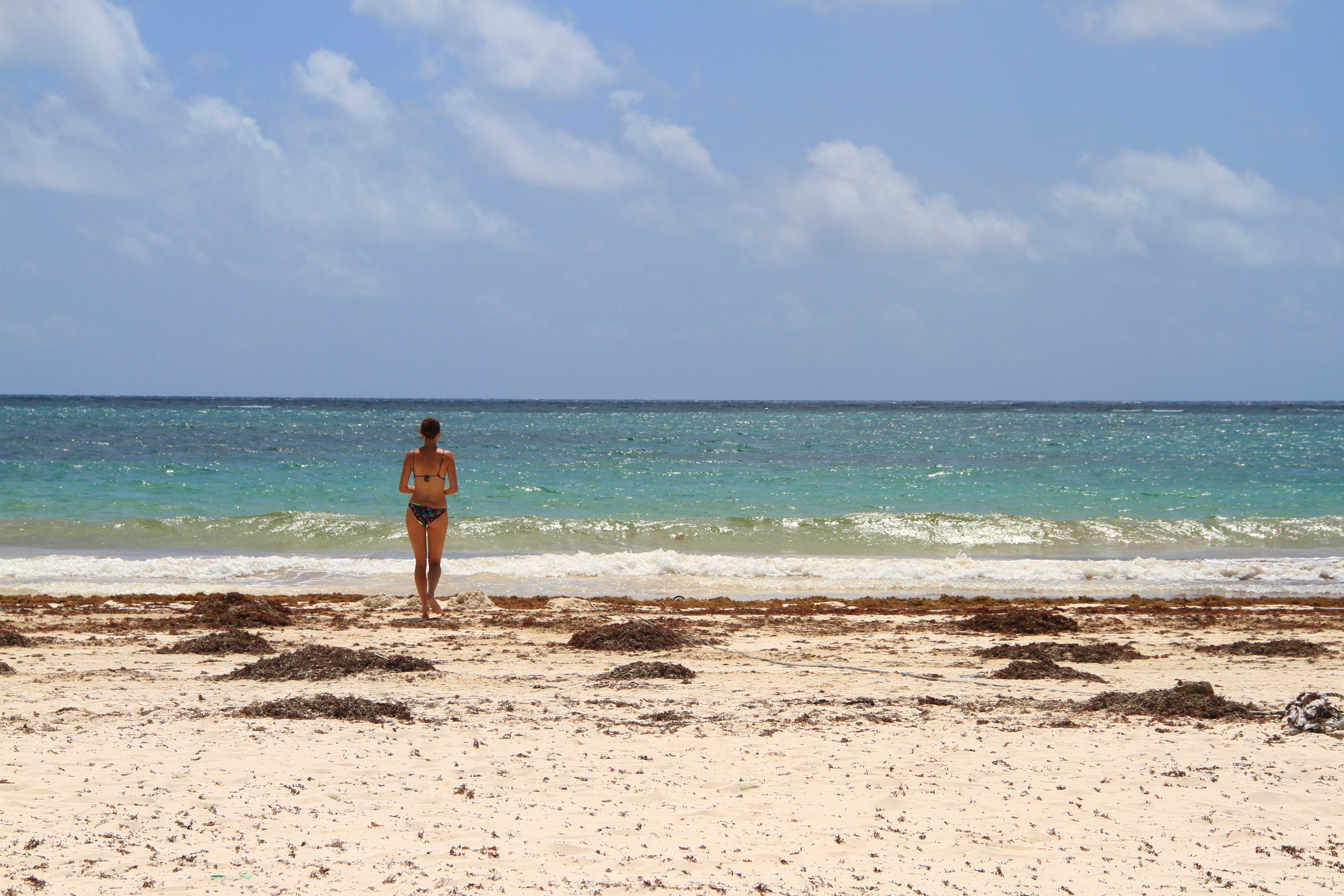 Tulipando a Tulum, Messico2017