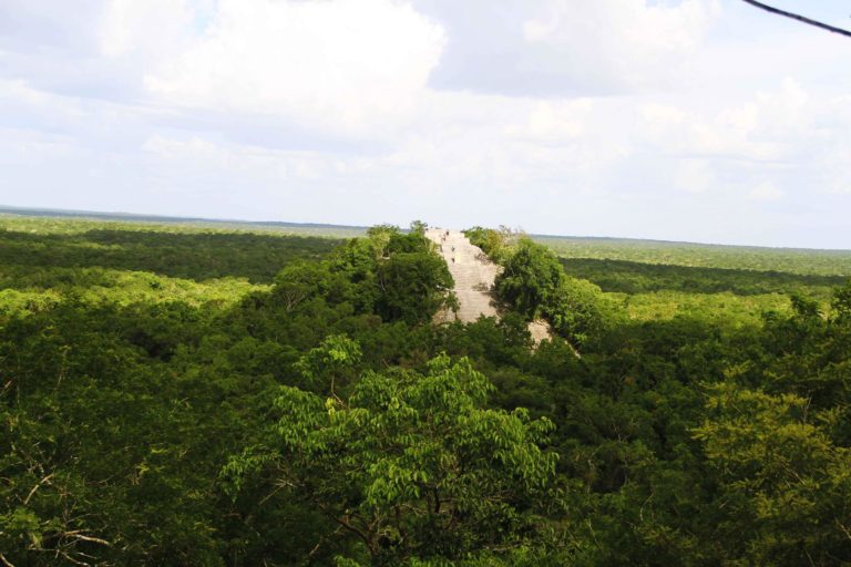 Calakmul 3 Messico Maya_Tulipando