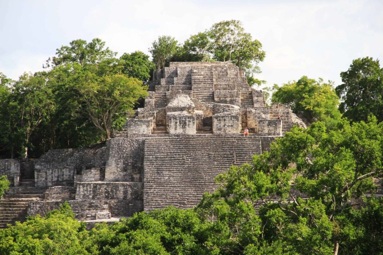 Calakmul 2 Messico Maya_Tulipando