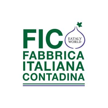 Fico logo