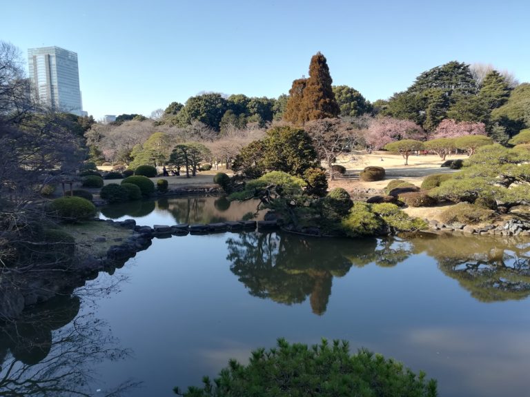 Tokyo Shinjuku Gyoen_Giappone_Tulipando