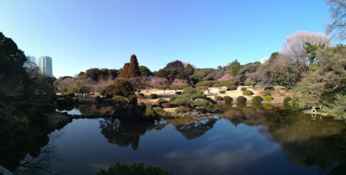 Giardino giapponese viaggio in Giappone_Tulipando