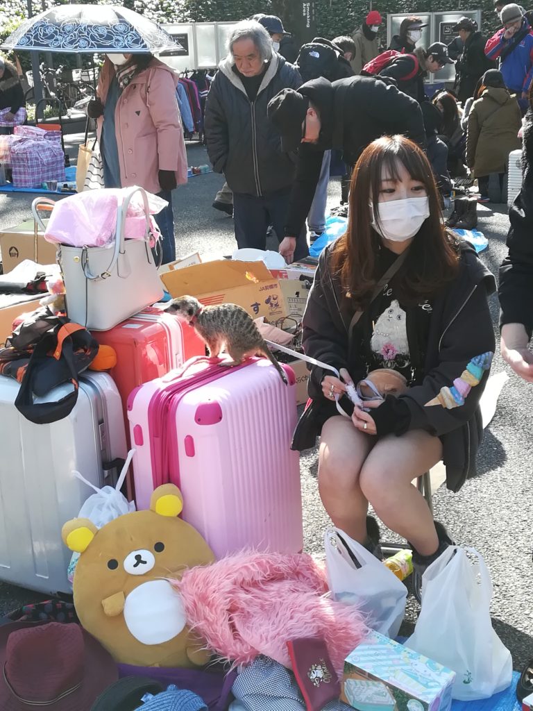 Tokyo Flea Market_Giappone_Tulipando