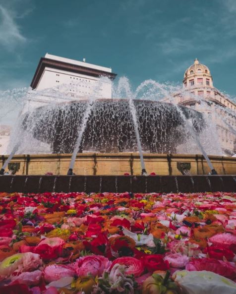 Euroflora2018 Genova_Tulipando