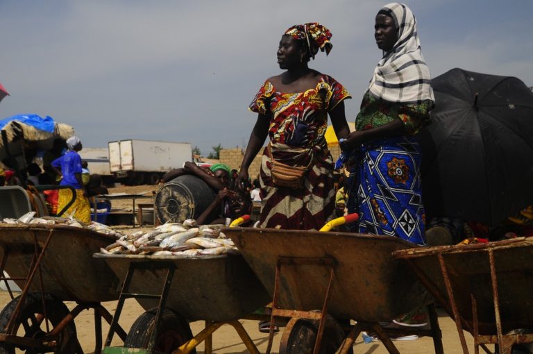 Senegal Donne Treedom_Tulipando