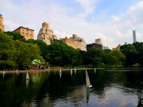 Central Park New York_Tulipando