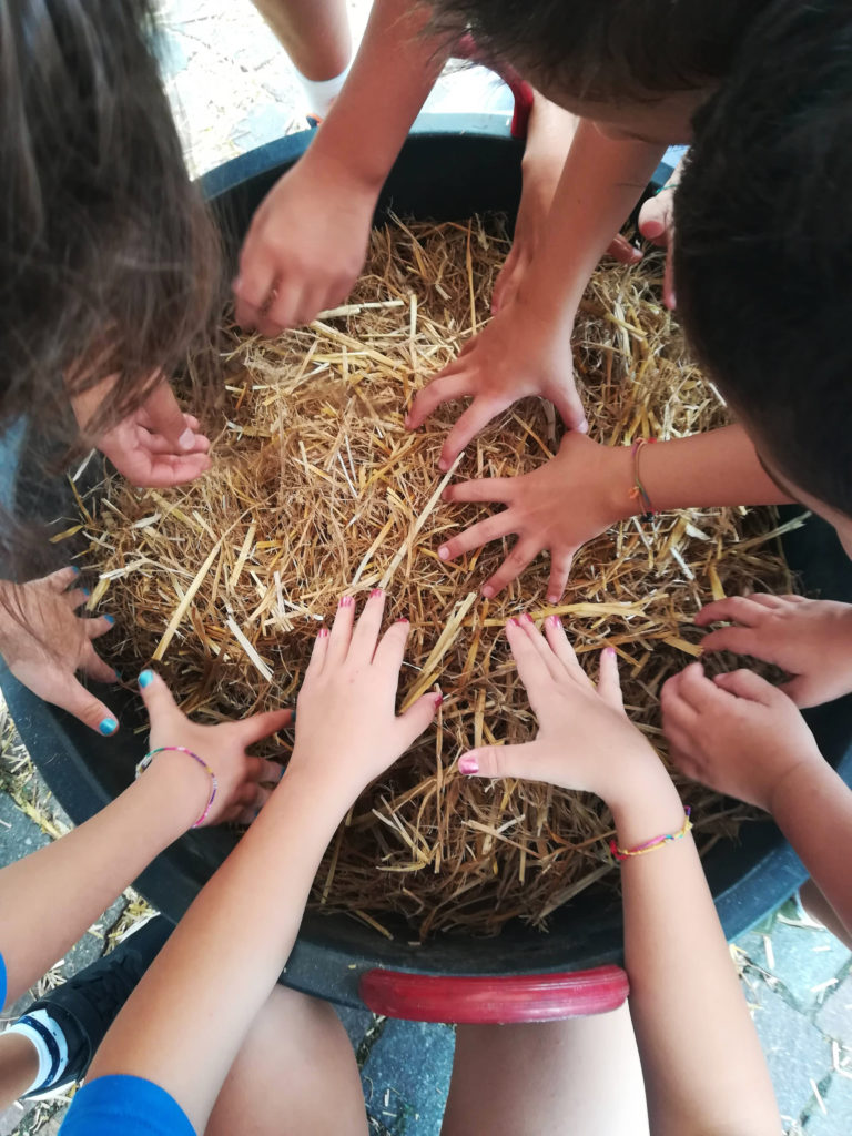 Cerca i Tappi Festa dell'Uva_Tulipando